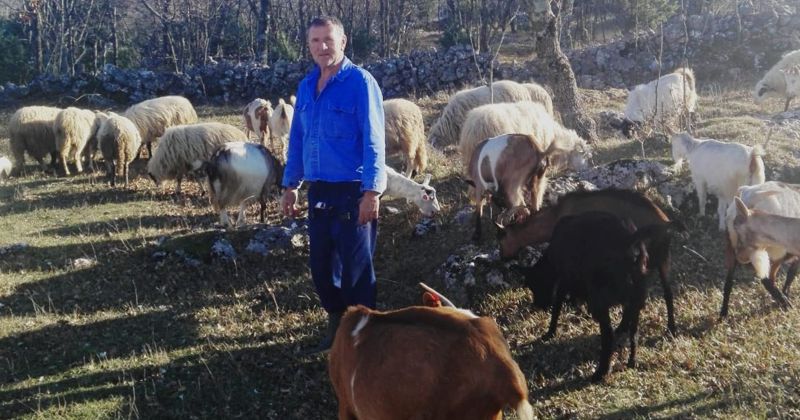 Primjer dobre prakse s 2. nacionalnog natječaja podmjere „Potpora razvoju malih poljoprivrednih gospodarstava“ – OPG Balić Ivan
