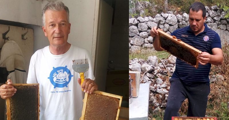 Primjer dobre prakse s 2. nacionalnog natječaja podmjere „Potpora razvoju malih poljoprivrednih gospodarstava“ – OPG Mate Bušelić