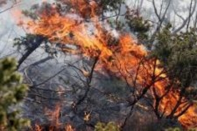 Objavljen Pravilnik za obnovu poljoprivrednog zemljišta i proizvodnog potencijala narušenog elementarnim nepogodama