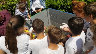 UČENICI OSNOVNIH ŠKOLA PODGORE I TUČEPI PROIZVODE SVOJ HUMUS U SKLOPU PROJEKTA LAG-A!