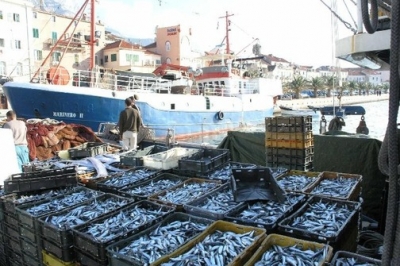 Radionica u ŽK Split o uvođenju transportnog dokumenta u ribarstvu