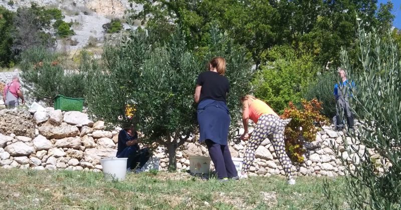 Nakon Dugog Rata, o financiranju projekata i u Omišu – Obiteljsko poljoprivredno gospodarstvo Kovačić Vanda