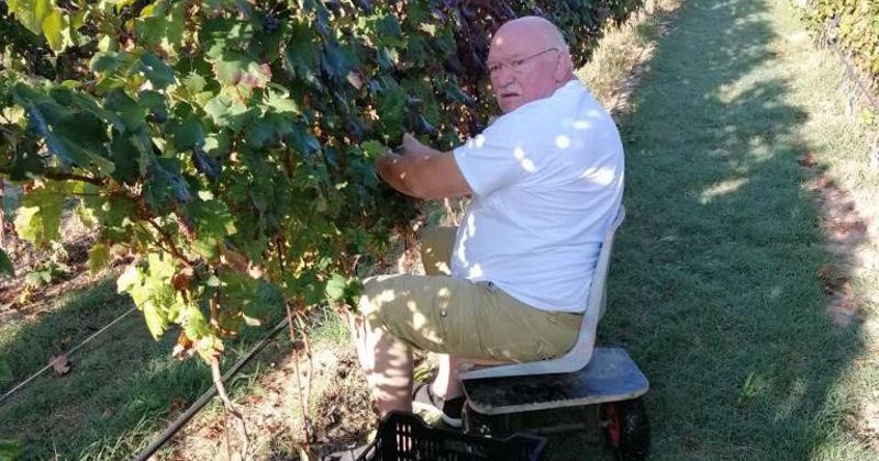 Financiramo i ulaganje u vinariju na OPG-u Goran Filipović