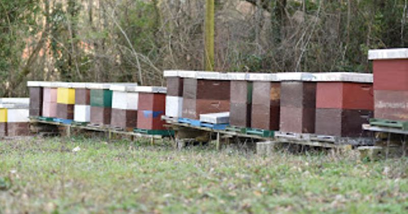 Financirali smo i zadruge kroz natječaj za „male poljoprivrednike“